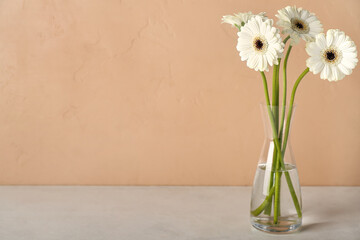 Vase with gerbera flowers on table near beige wall