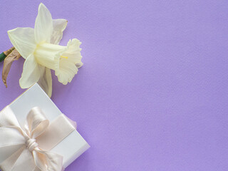daffodils flower, gift box and paper background with copy space