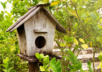 Wooden bird house with natural background