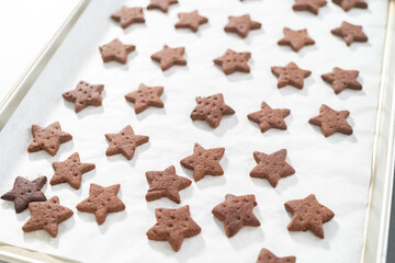 Chocolate graham crackers