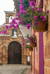 Old colonial town with pink flowers in charala, santander, colombia. In the background the old stone church
