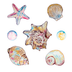 Watercolor colorful underwater life
