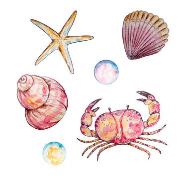Watercolor colorful underwater life