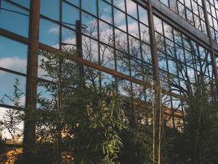 Architecture Building And Mirror Windows