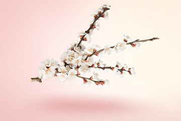 Fresh beautiful flower blossoms on pink background.