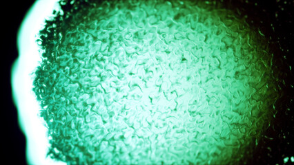 nice dark green bio lines surface - abstract 3D illustration