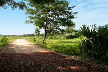 A under constriction brick road in a rural area of Chittagong. Morning scenery of a Bangladeshi village.