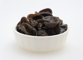 black fungus on white background