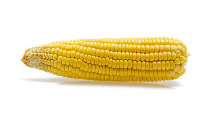 corn on the cob