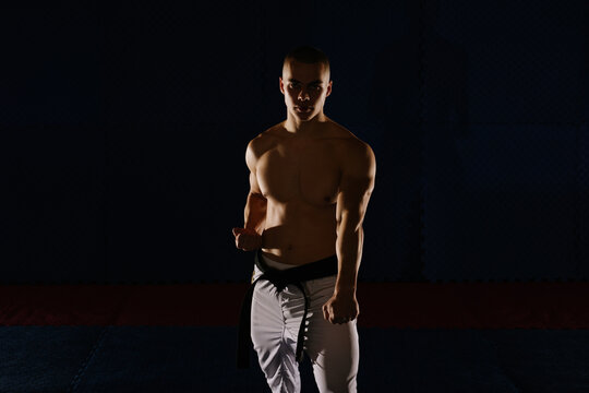 Close up of young man doing the Gedan Barai pose