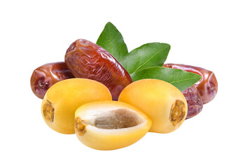 fresh  and dry date palm fruit on transparent png