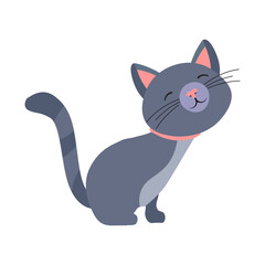 Cute cat sitting in funny adorable posture to purr, gray kitten with tabby tail and paws