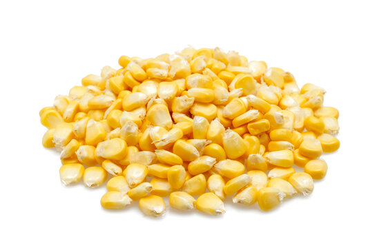 pile of corn