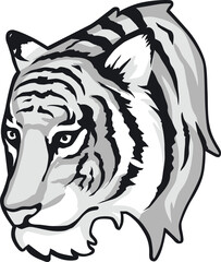 Tiger Face Expression Illustration. Tattoo Art. Vector.