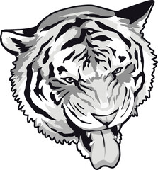 Tiger Face Expression Illustration. Tattoo Art. Vector.