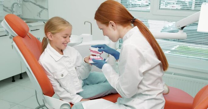 friendly kind smiling stomatologist in uniform with maket of jaw is playing with blonde little girl , reliving stress, creating positive mood , telling about healthcare game entertainment lifestyle