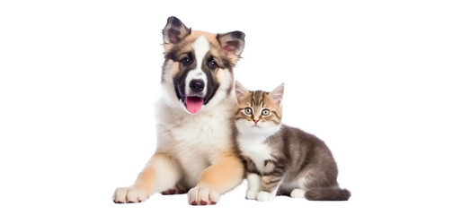 Puppy dog and cute kitten lie together. isolated on transparent background. PNG. Two puppies. Post-processed generative AI