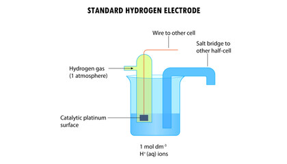 Diagram of the standard hydrogen  electrode