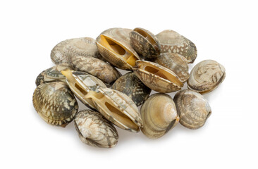 mussels on white background