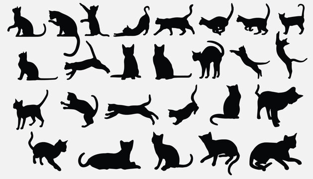 Set silhouette of cat isolated on gray background