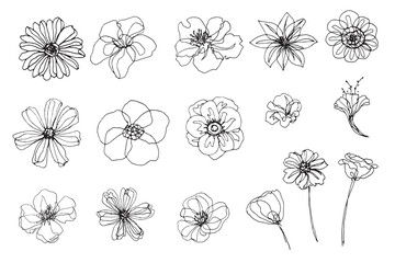 Collection of stylized flowers drawing graphic elements, ink sketching floral shapes, botanical outline drawing, Blooming flowers doodle icon isolated on background, hand doodle flowers contour lines