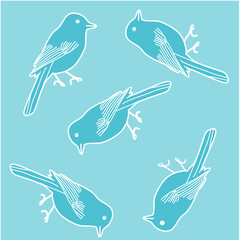 Cute birds in blue background