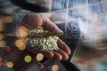 The concept of the cost of grain. 5000 ruble banknotes around a handful of ground grain. World...