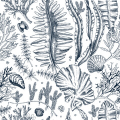 Sea life background. Edible seaweed seamless pattern. Hand-drawn kelp, kombu, wakame, hijiki, sea shells illustrations. Underwater plants and algae sketches style. For print, menu design or wrapping © sketched-graphics