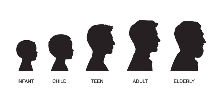 The stages of a man's growing up - infant, child, teen, adult, elderly. Collection of silhouettes of men of different ages. Illustration on transparent background