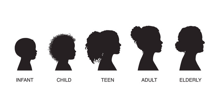 The stages of a woman's growing up - infant, child, teen, adult, elderly. Collection of silhouettes of women of different ages. Illustration on transparent background