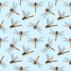 Vector seamless pattern with dragonflies. Creative texture for fabric, wrapping, textile, wallpaper, apparel. Summer Dragonflies in the sky. Simple minimalistic print with dragonfly insects. Vector