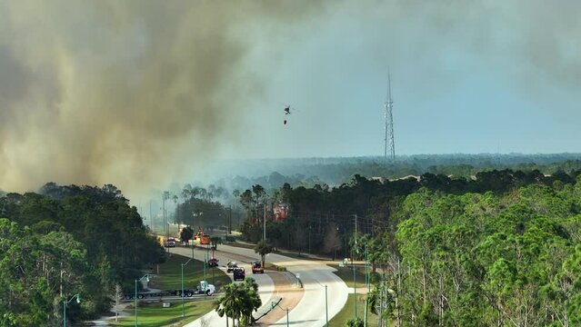 Emergency service helicopter and firetrucks extinguishing wildfire burning in Florida jungle woods. Police department chopper trying to put down flames in forest. Toxic smoke polluting atmosphere