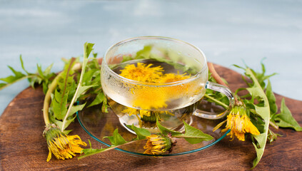 Dandelion wildflower tea, glass with herbal hot drink, alternative medicine for detox, leaves and flowers