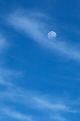 Naklejka na ściany i meble Near Full Moon in Blue Sky
