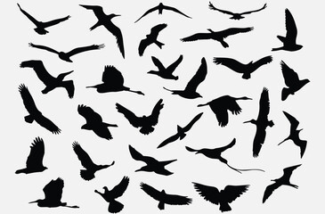 Set of black bird silhouettes. isolated on white background
