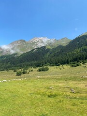 Fototapeta na wymiar Hautes-Pyrénées - France