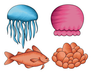 Sea life sea creature collection set, sea animals vector collection
