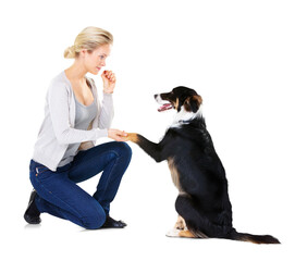 Woman, dog and training with snack, paw and learning obedience, loyalty and focus isolated on transparent png background. Animal trainer with love, care and treat, girl teaching pet to with reward.