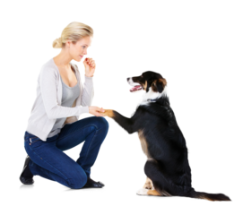 Woman, dog and training with snack, paw and learning obedience, loyalty and focus isolated on transparent png background. Animal trainer with love, care and treat, girl teaching pet to with reward.