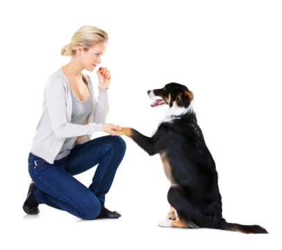 Woman, dog and training with snack, paw and learning obedience, loyalty and focus isolated on transparent png background. Animal trainer with love, care and treat, girl teaching pet to with reward.