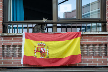 Un gato mira hacia la calle sobre una bandera de España.