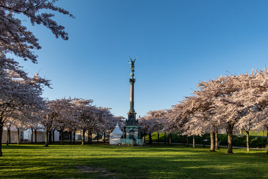 Copenhagen, Denmark Cherry blossoms in the Langelinie park in downtown and the Iver Huitfeldt Memorial, Ivar Huitfeldt mindesm&aelig;rke.