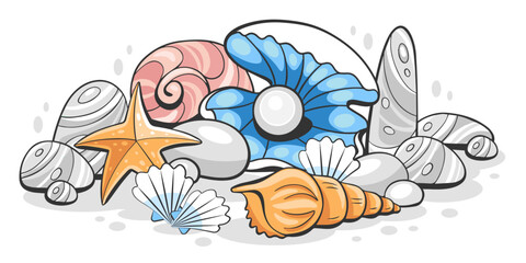 Vector illustration of seashells, seashells cones, shell with pearls on the seabed in cartoon style.