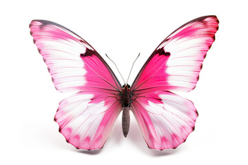Naklejka na ściany i meble Pink butterfly on white background (generative AI) 