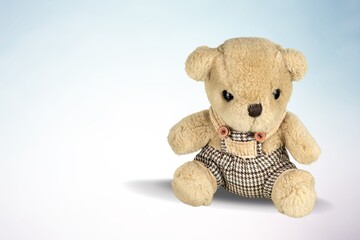 Soft fluffy cute toy on color background