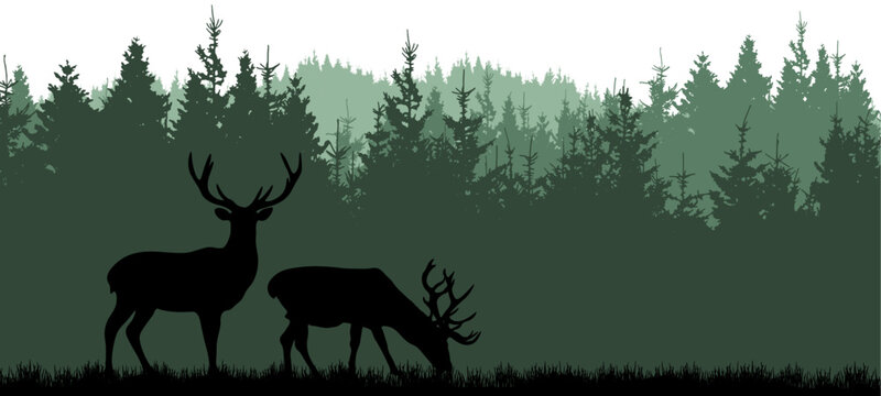 Black silhouette of fir spruce trees and wild deer, landscape panorama illustration icon vector for forest woods wildlife adventure camping logo, isolated on white background