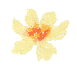 Naklejka na ściany i meble coloured pencil element hand drawn color pencil flower rough brush kid drawing 