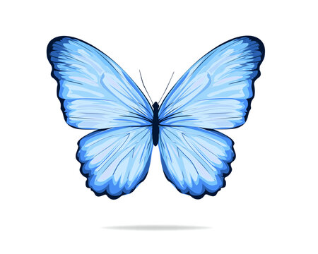 blue buterfly hand drawn design vector