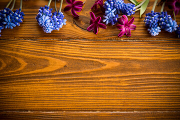 Wooden background with spring flowers and empty space