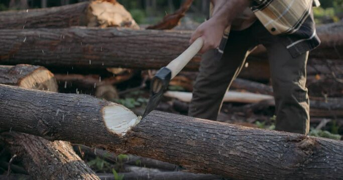 unrecognizable man hitting tree trunk with axe, slow motion, guy preparing wood, firewood for cold winter days cropped close up portrait slow motion flying sawdust